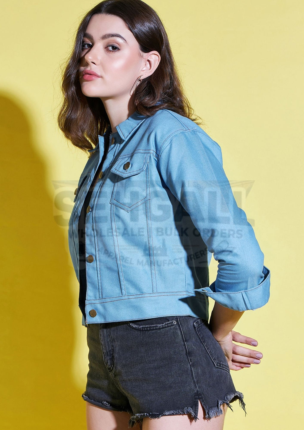 Solid Womens Regular Denim Jacket-2611