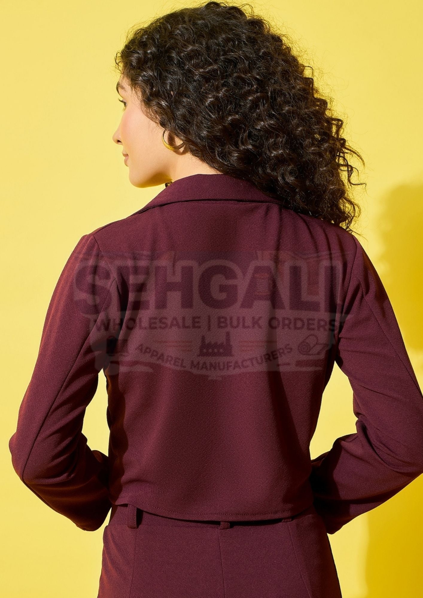 Solid Women's Formal and Casual Wear Cropped Blazer-3511