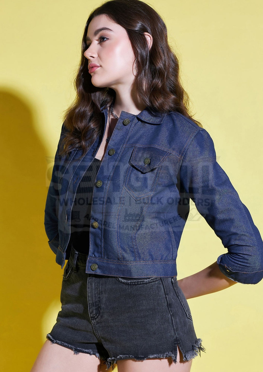 Solid Womens Regular Denim Jacket-2611