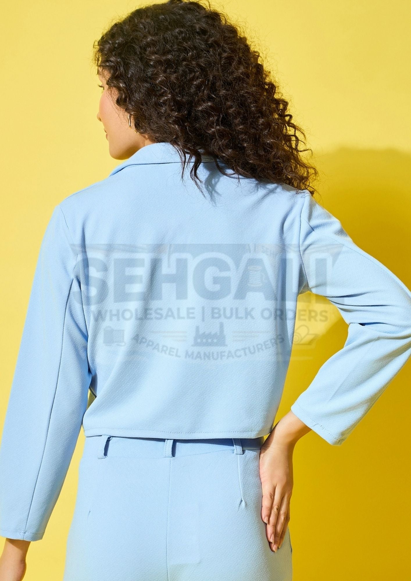 Solid Women's Formal and Casual Wear Cropped Blazer-3511