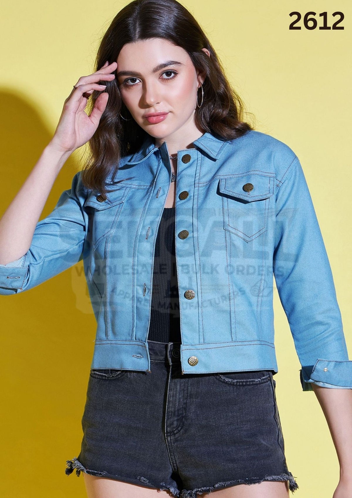 Solid Womens Regular Denim Jacket-2612