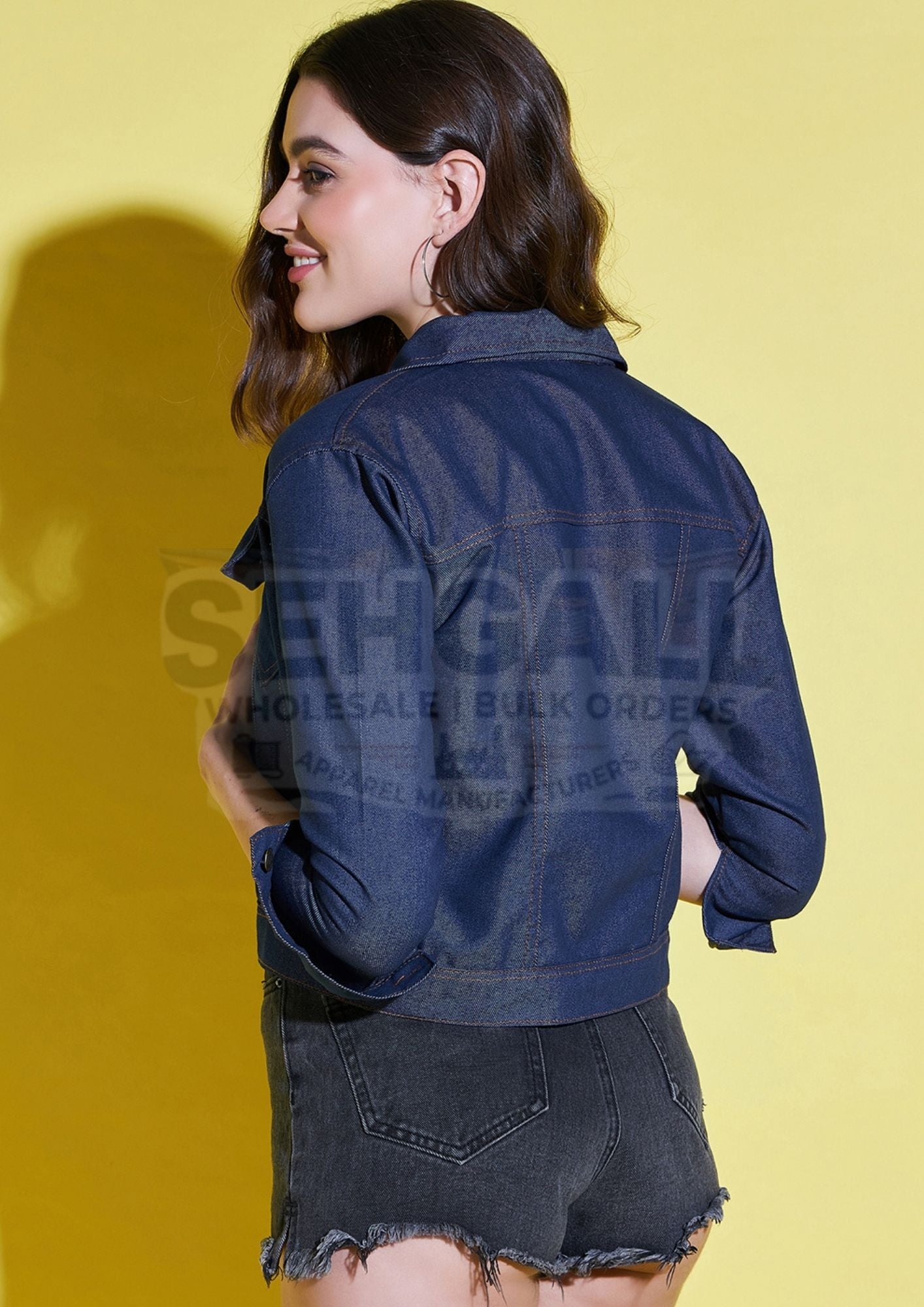 Solid Womens Regular Denim Jacket-2611