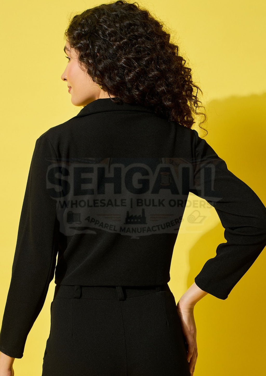 Solid Women's Formal and Casual Wear Cropped Blazer-3511