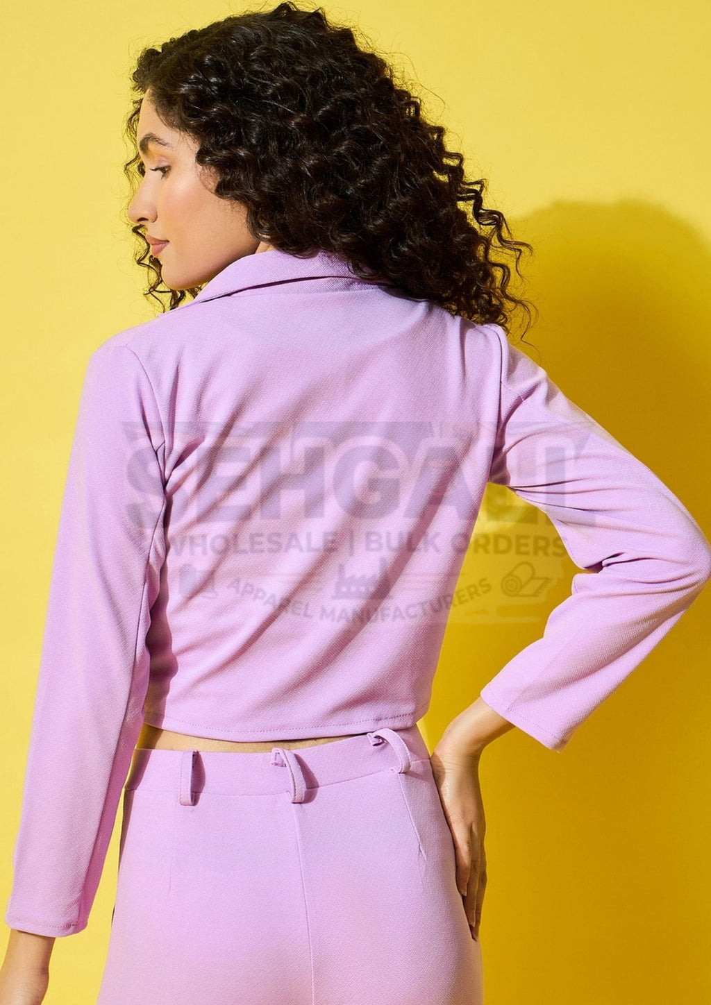 Solid Women's Formal and Casual Wear Cropped Blazer-3511