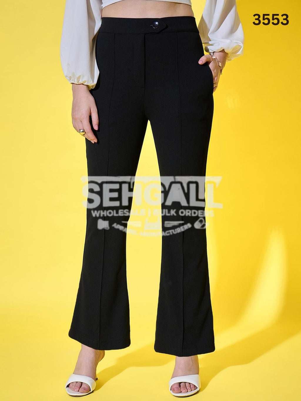 Pleated High-Rise Black Women’s Formal Trouser Pants-3553