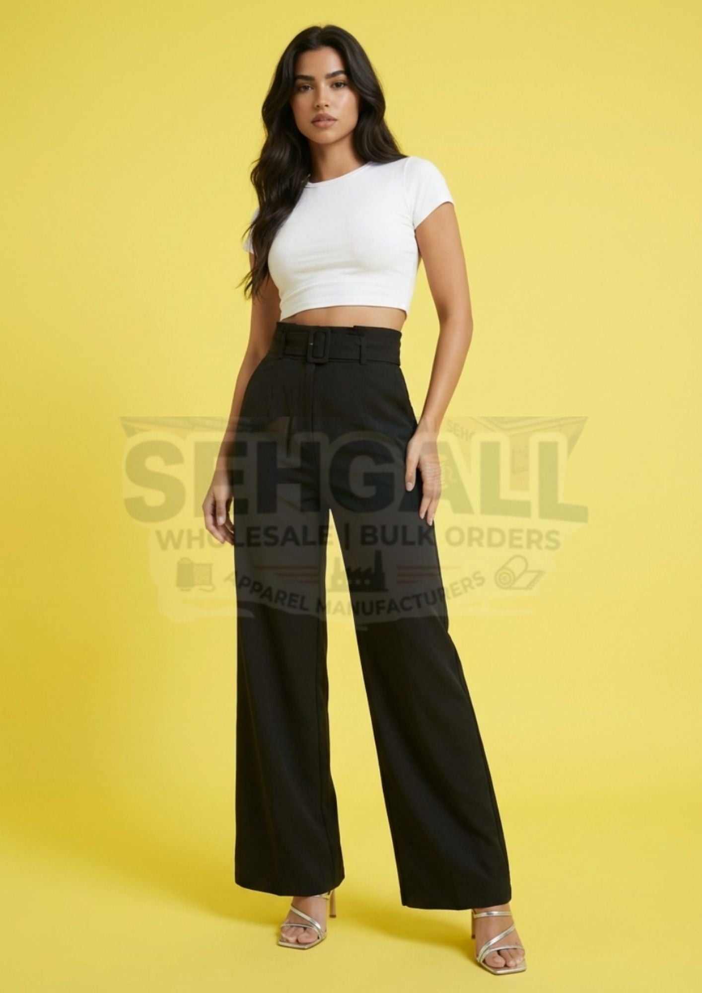 Women’s Black High Waist Wide Leg Belted Formal Trousers Pants-3665
